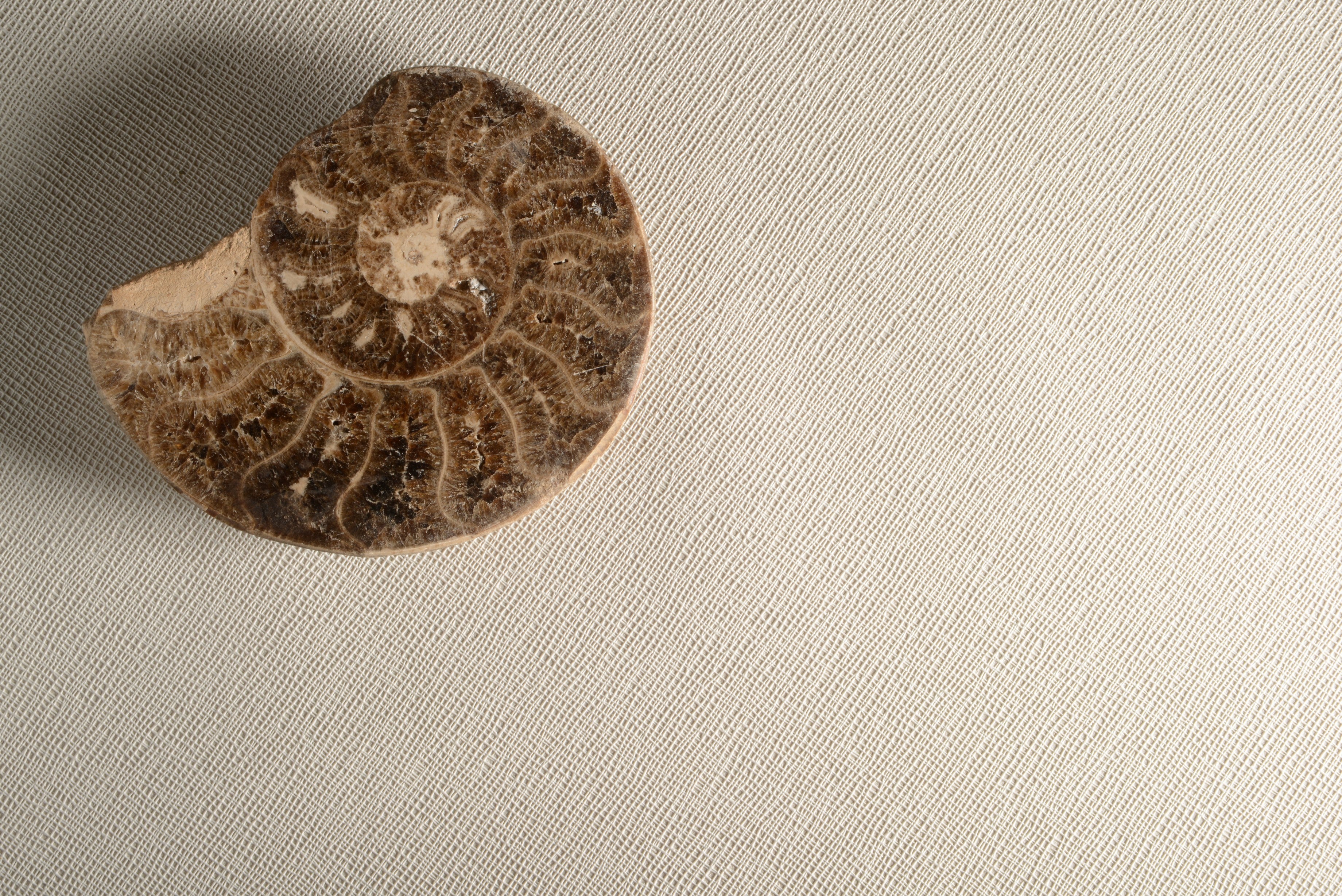 Papel Mural - Intime W. Soft