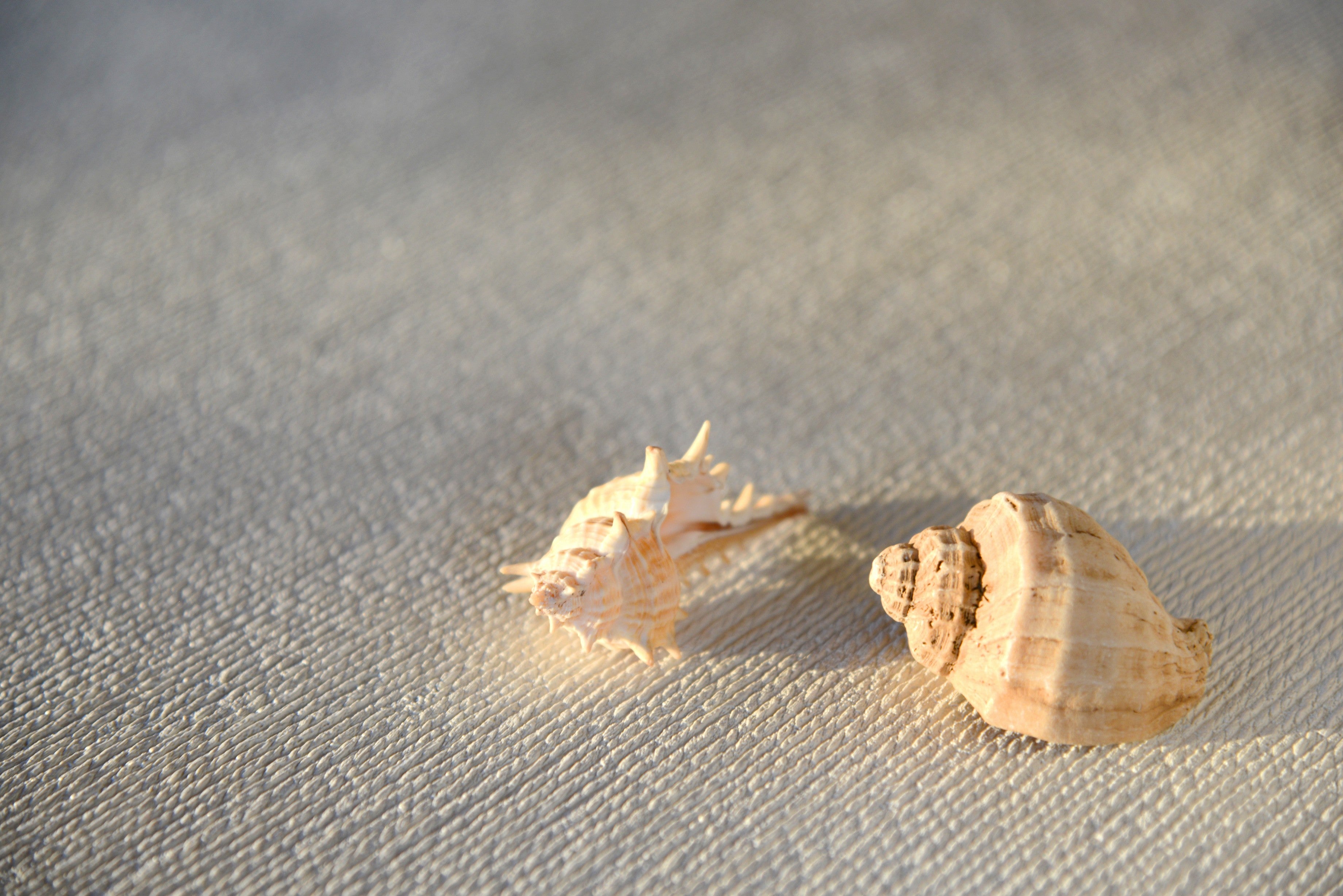 Papel Mural - Cañamo W. Soft (1,1 mts - 280 grs)