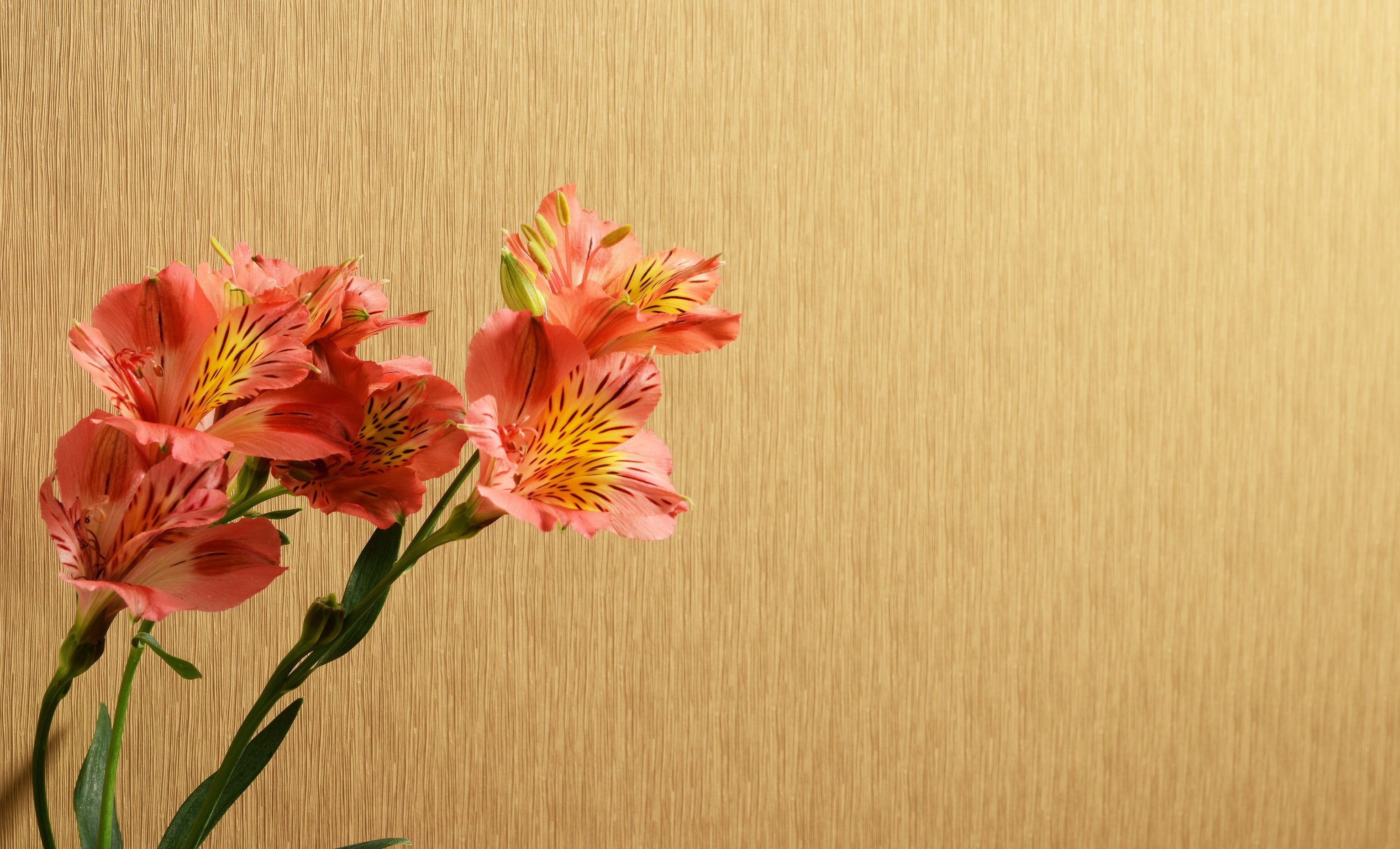 Papel Mural - Ceylan Sand