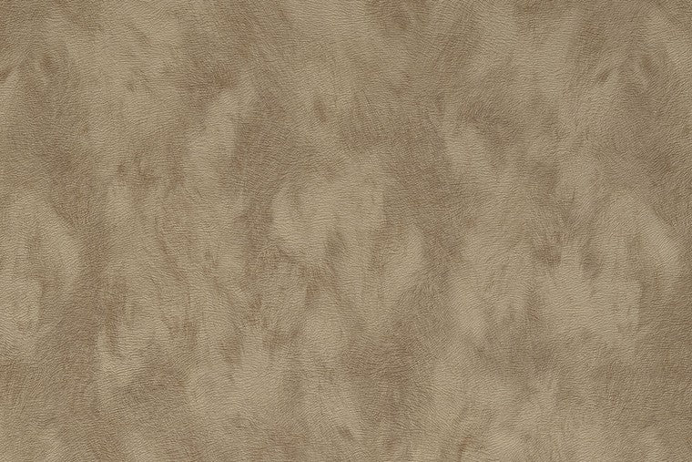 Skin - 300581