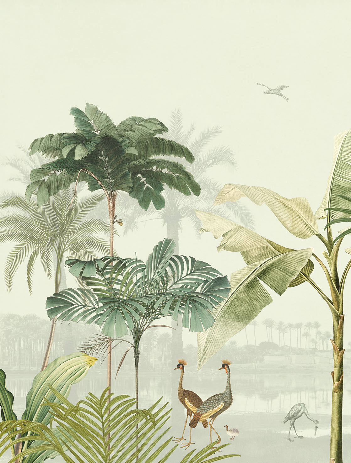 Papel Mural - Oasis - 317405