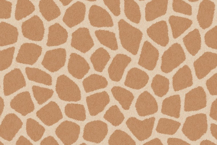 Papel Mural - Explore - 323034