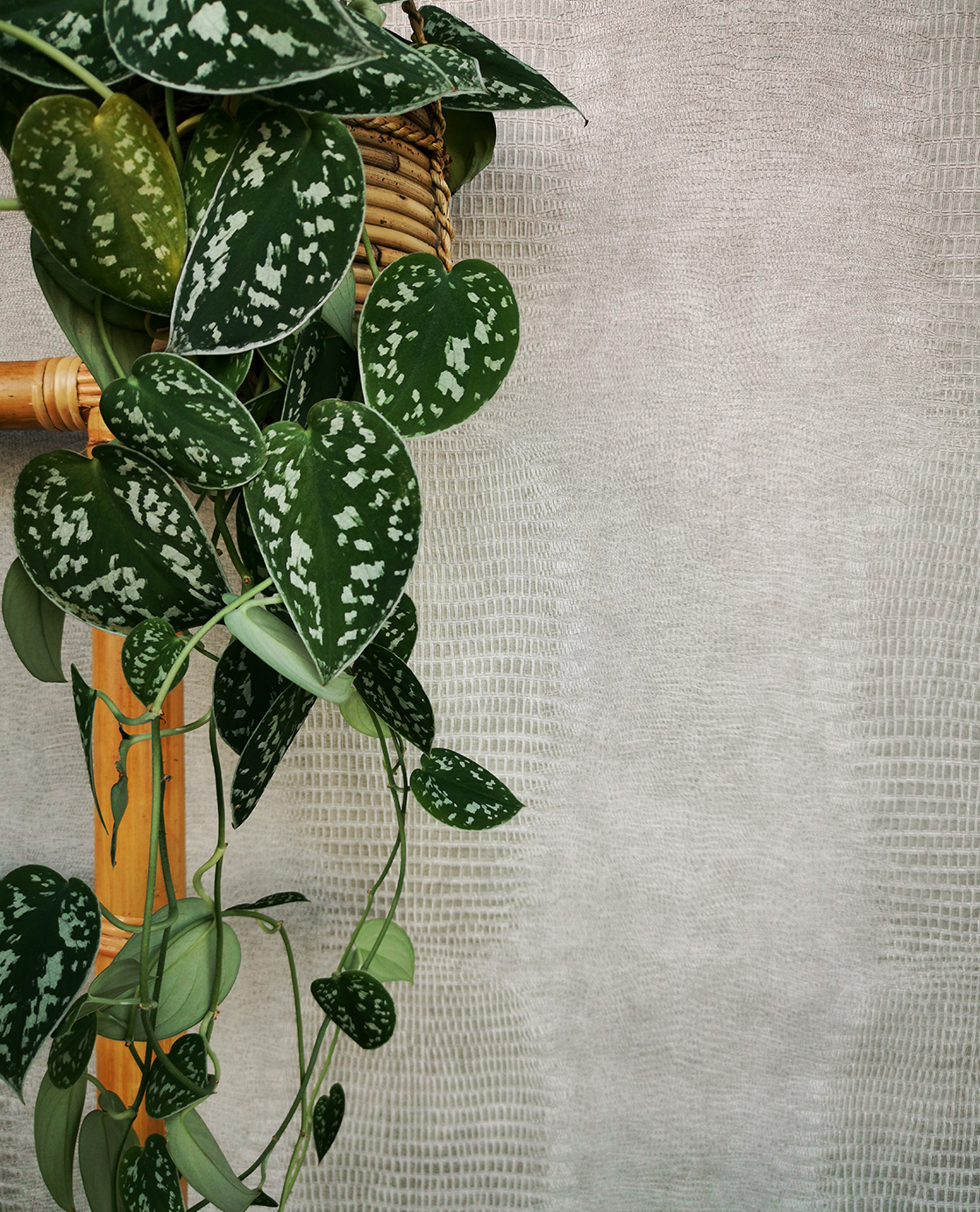 Papel Mural - Unify - 333235