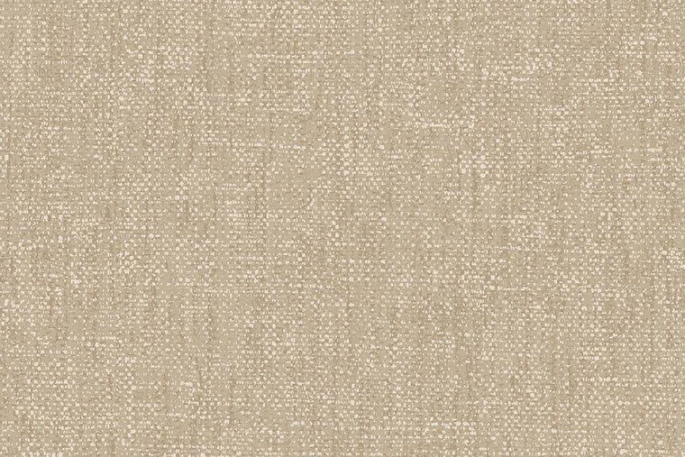 Papel Mural - Festival - 333531