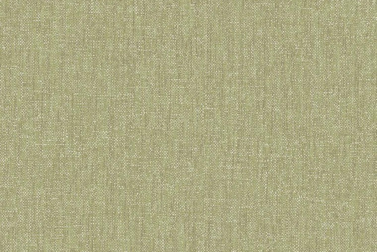 Papel Mural - Festival - 333536