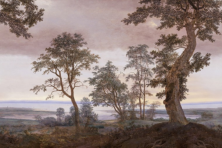 Papel Mural - Magnifique - 351291