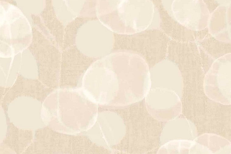 Papel Mural - Roots - 363330
