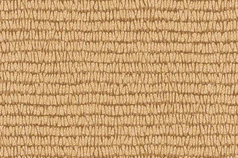 Papel Mural - Roots - 363341