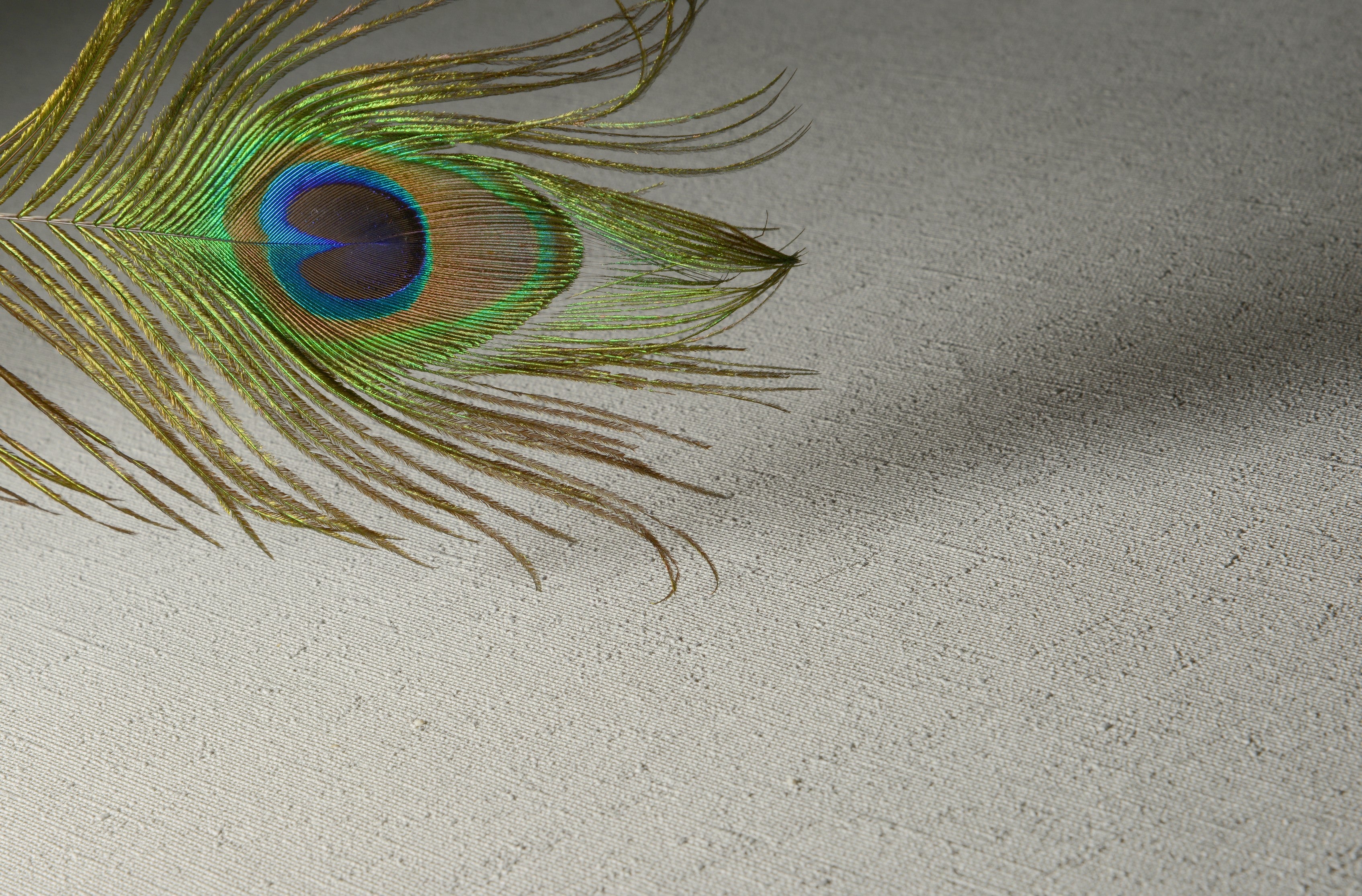 Papel Mural - Oxford W. Soft