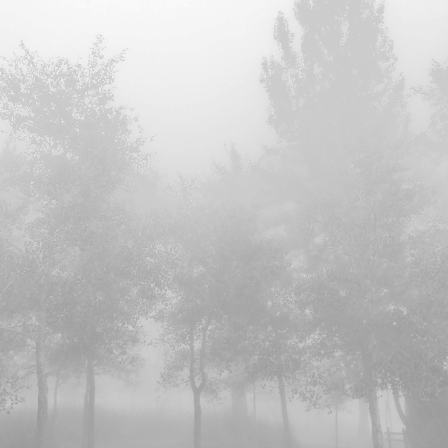 PAPEL MURAL - MINIMAL 01