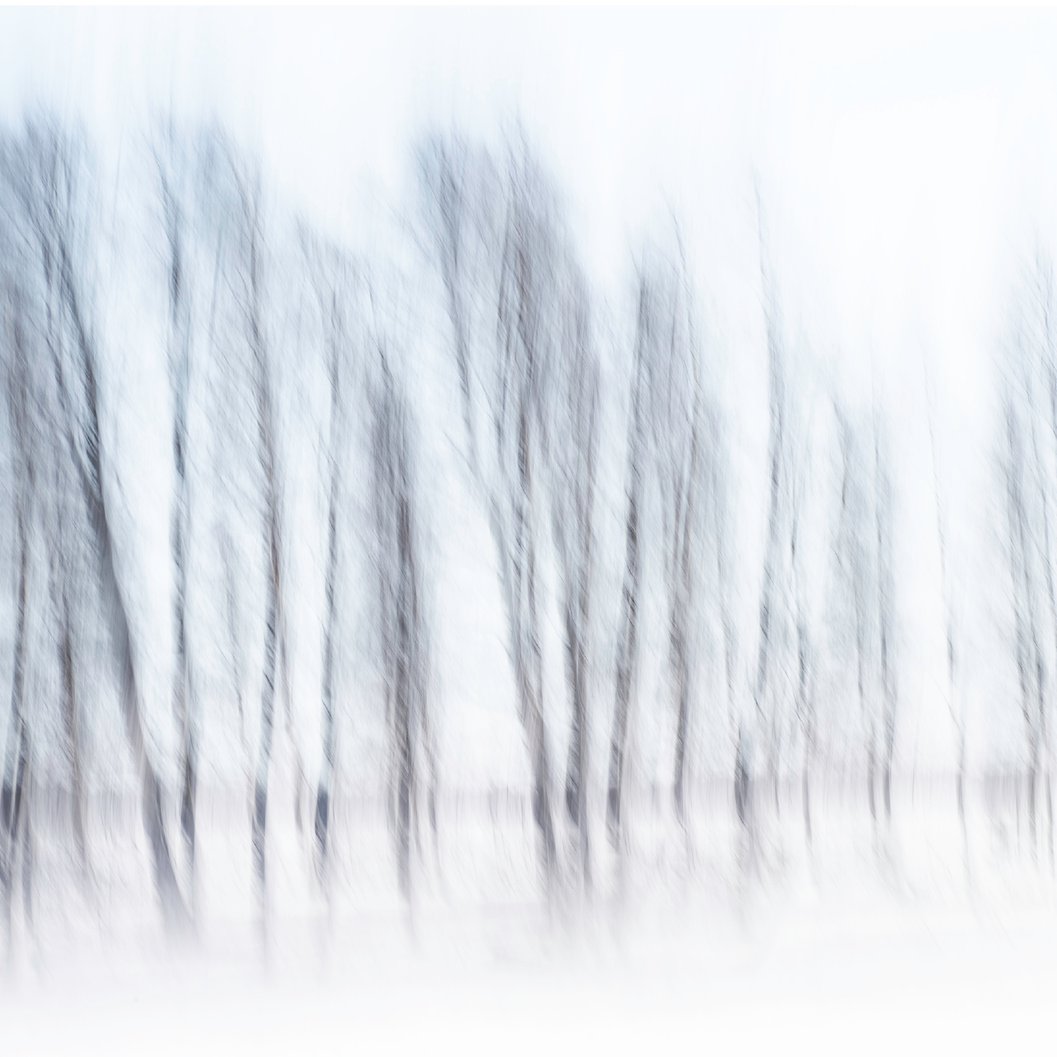 PAPEL MURAL - MINIMAL 08