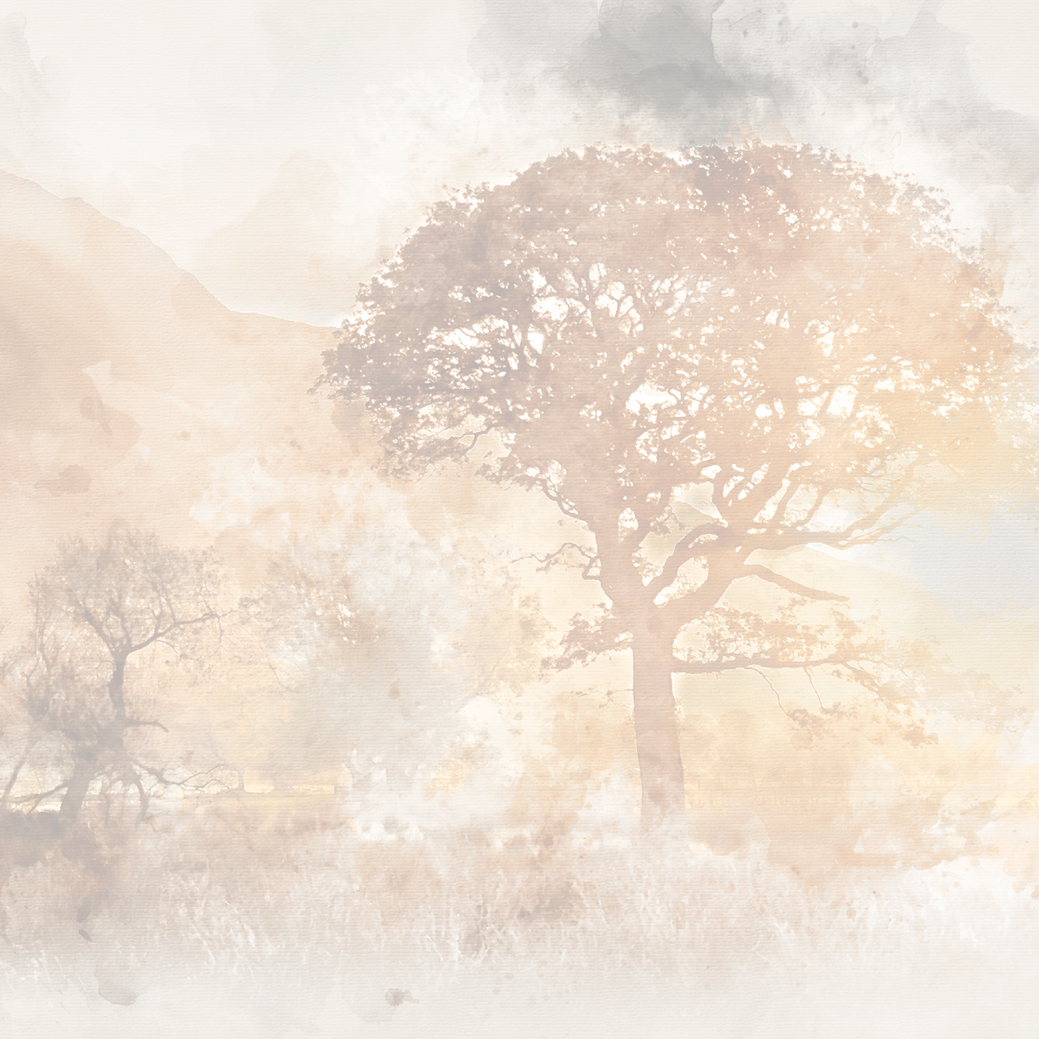 PAPEL MURAL - MINIMAL 27