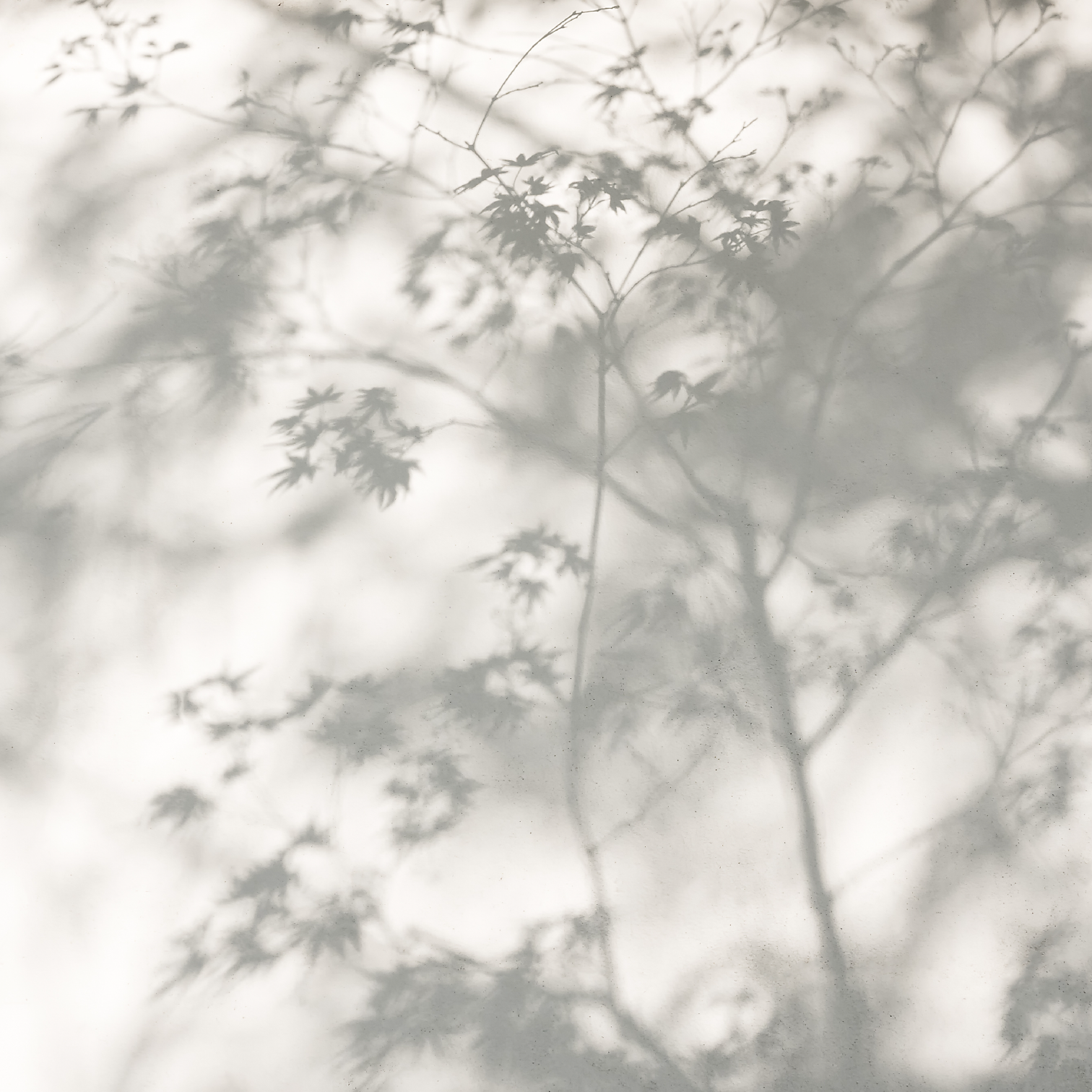 PAPEL MURAL - MINIMAL 28