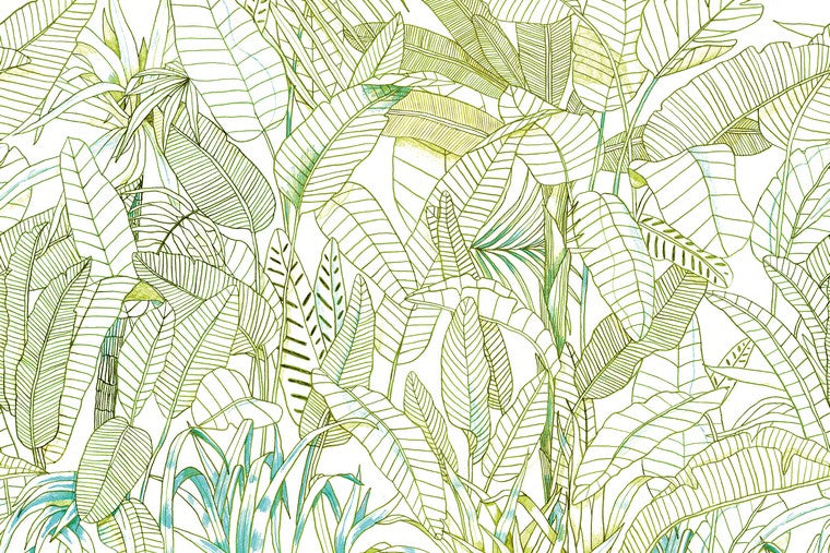 Papel Mural - Grafite Day - DG3GRA101X