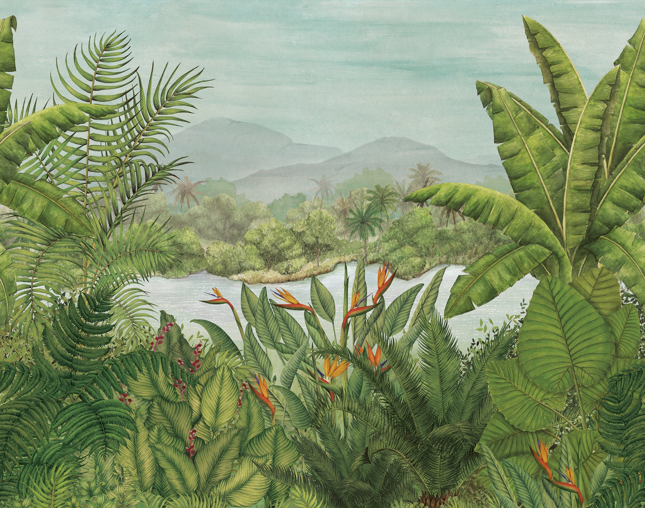 Papel Mural - Rainforest Bloom - DG3RAI103X