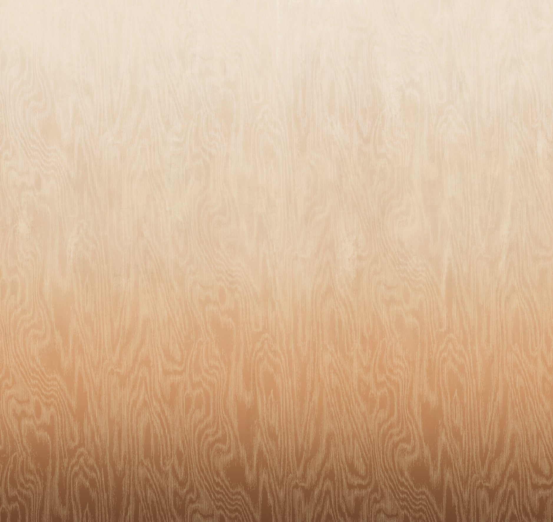 Papel Mural - Moire Sahara - DG4MOI104X