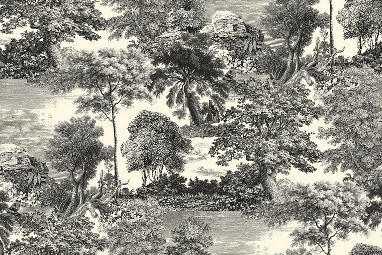 Papel Mural - Salcey Forest - DGSAL101X