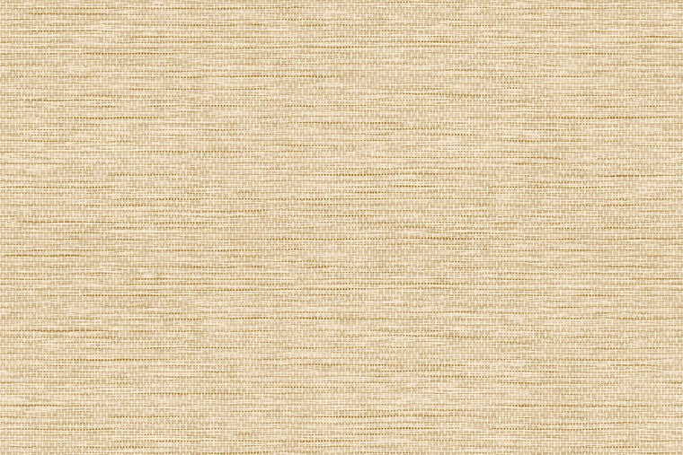 Papel Mural - Le Papier Tissé - 60501B