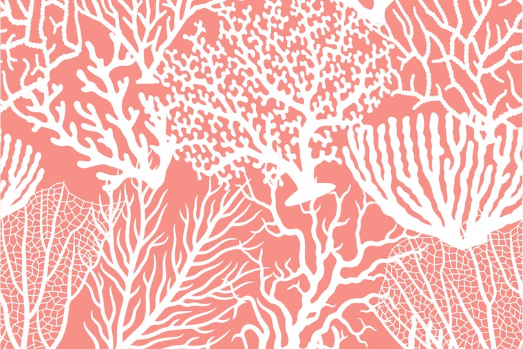 PAPEL MURAL - HABITAT 44