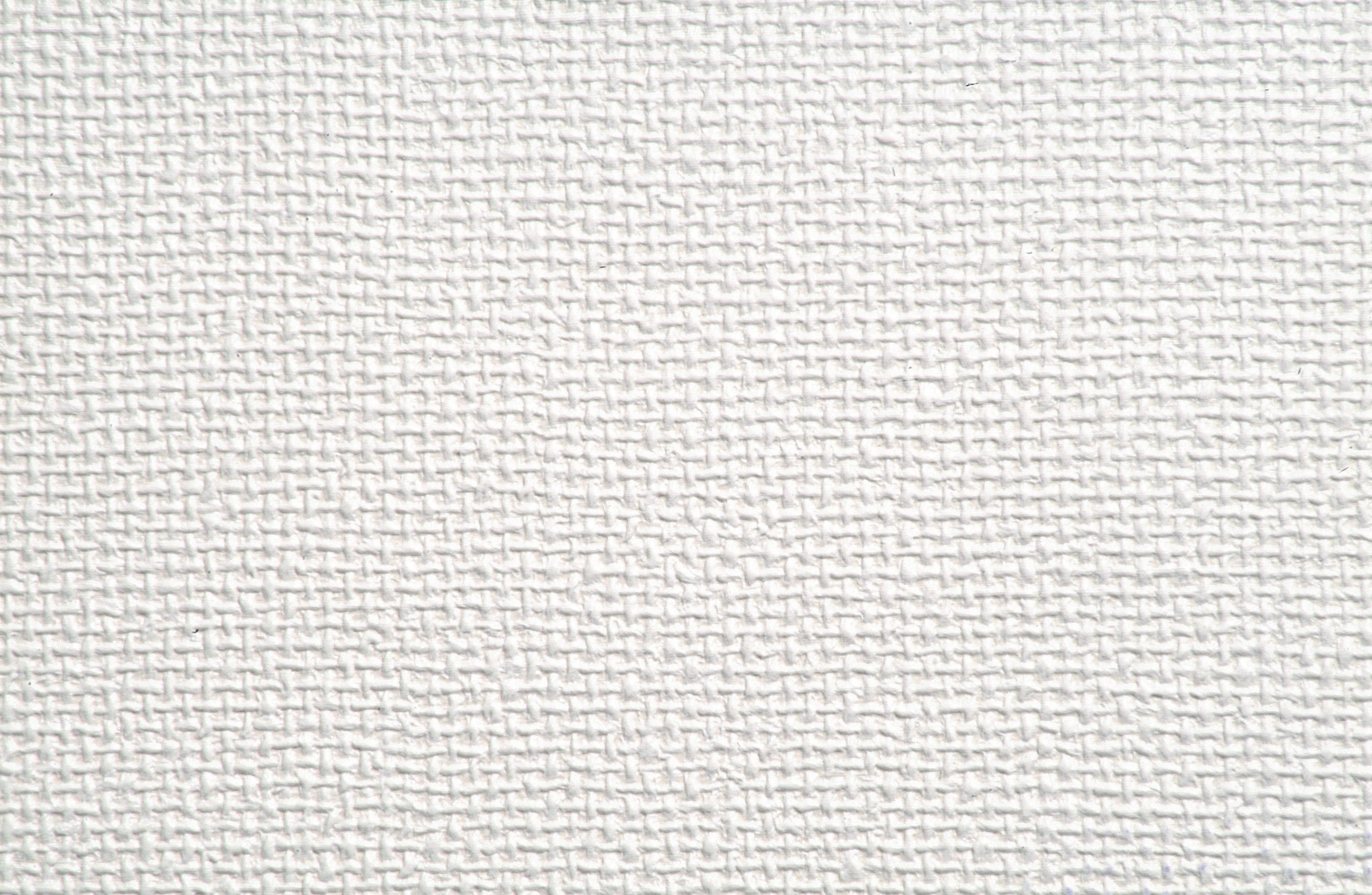 Papel Mural - Junco Blanco S