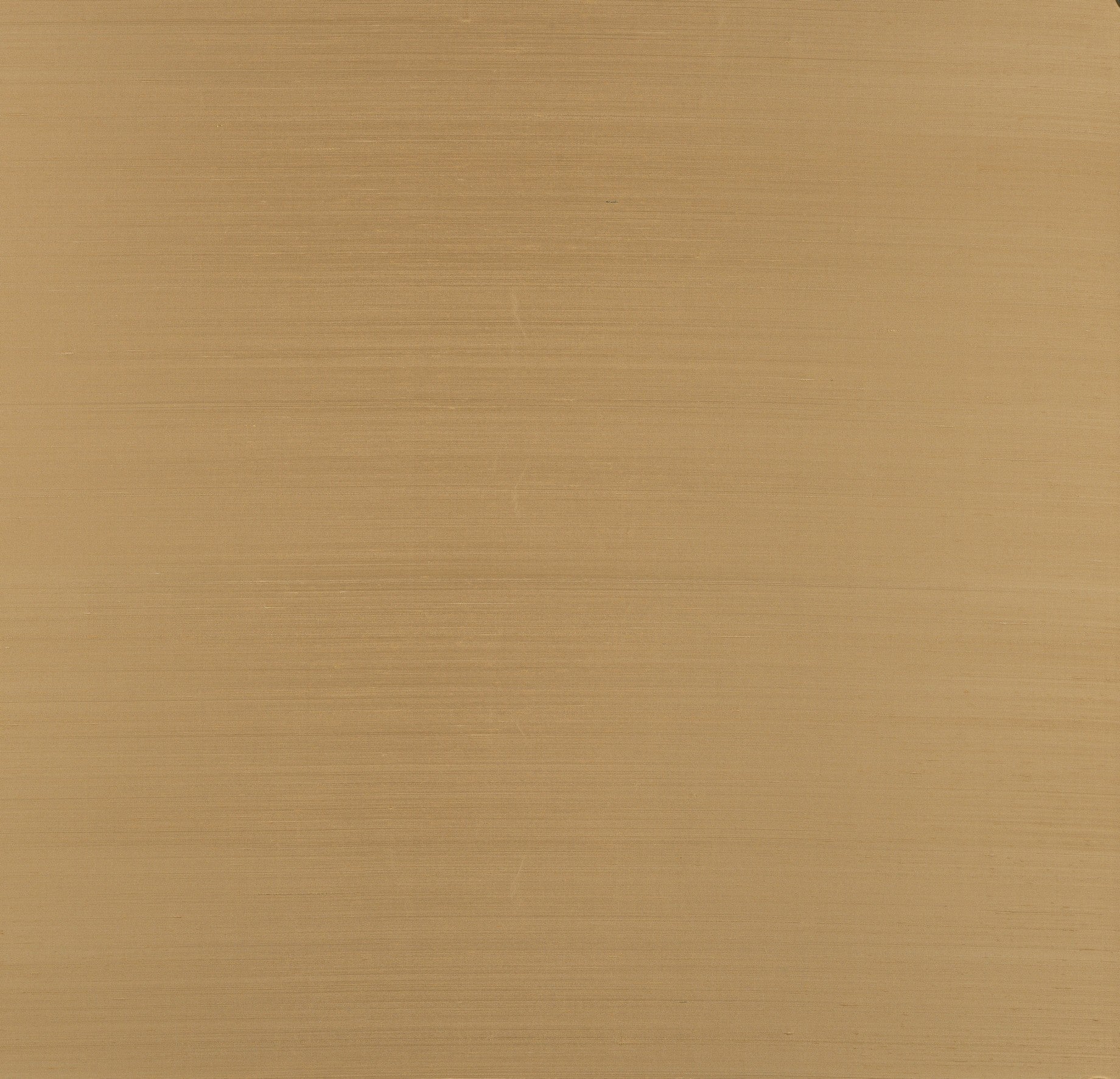 Papel Mural - Papillon - 58542