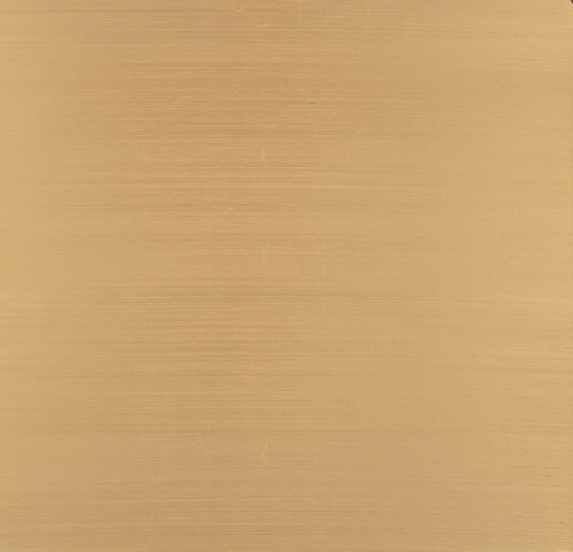 Papel Mural - Papillon - 58543