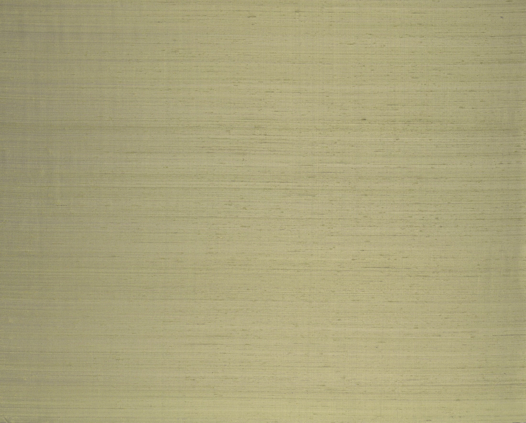 Papel Mural - Papillon - 58547