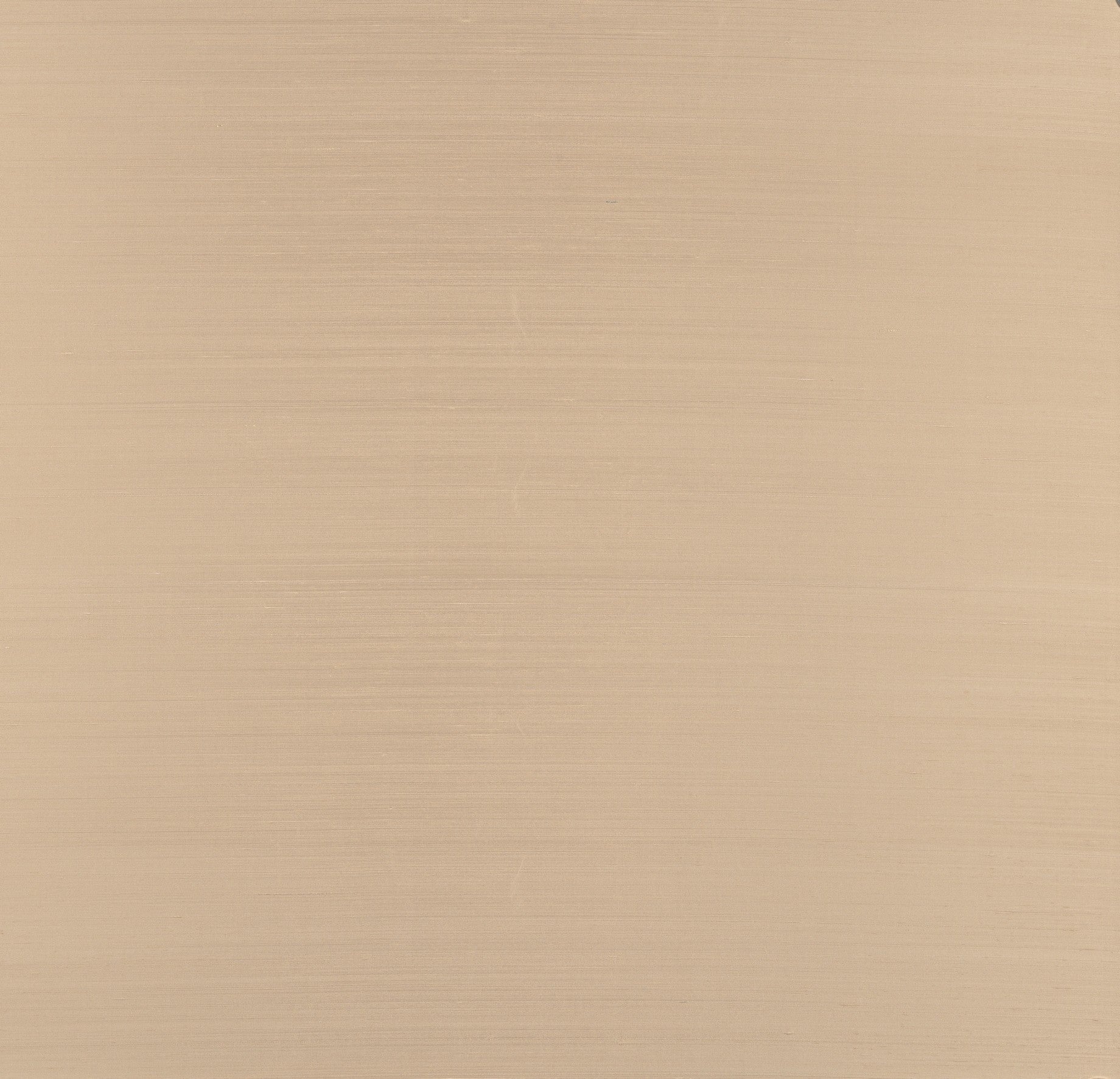 Papel Mural - Papillon - 58548