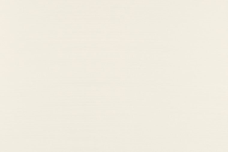 Papel Mural - Papillon - 58549
