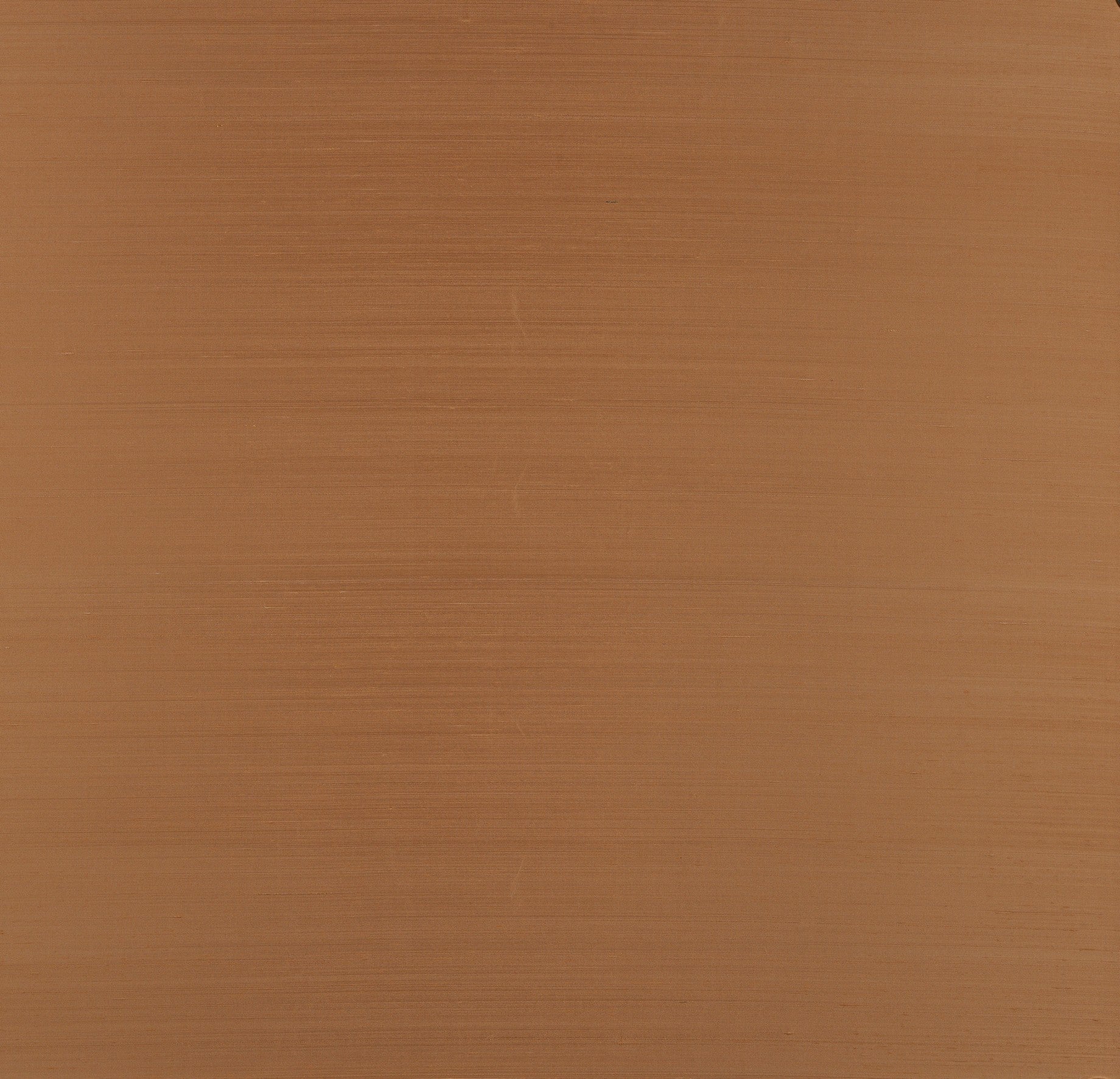 Papel Mural - Papillon - 58553