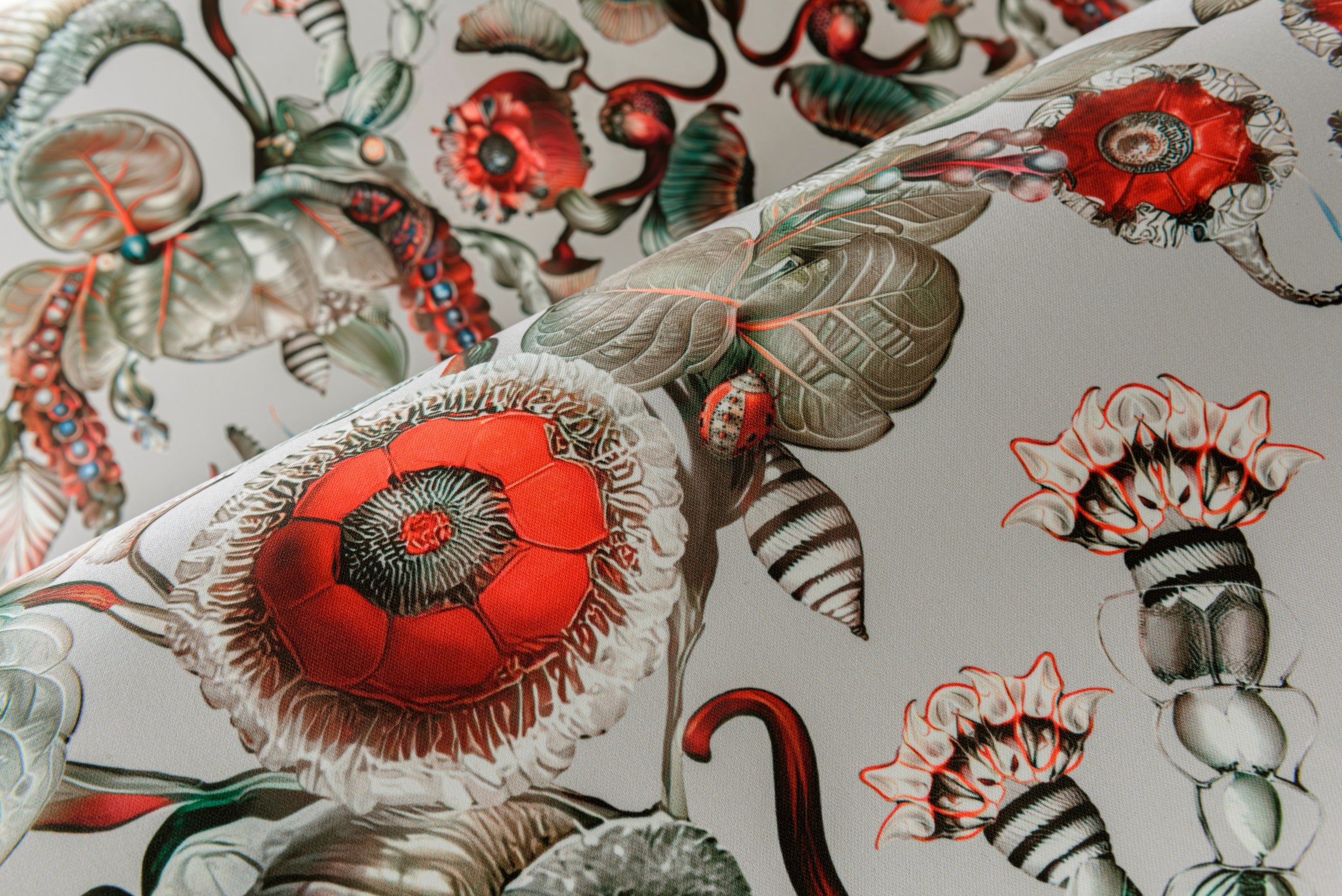 Papel Mural - Coccinella Bella - MO5000