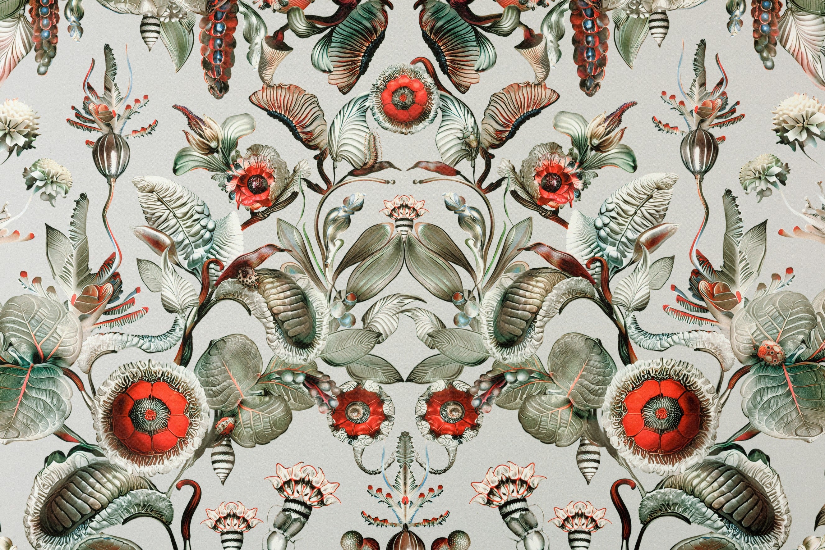 Papel Mural - Coccinella Bella - MO5000
