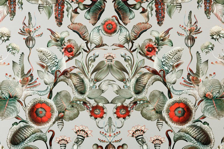 Papel Mural - Coccinella Bella - MO5000
