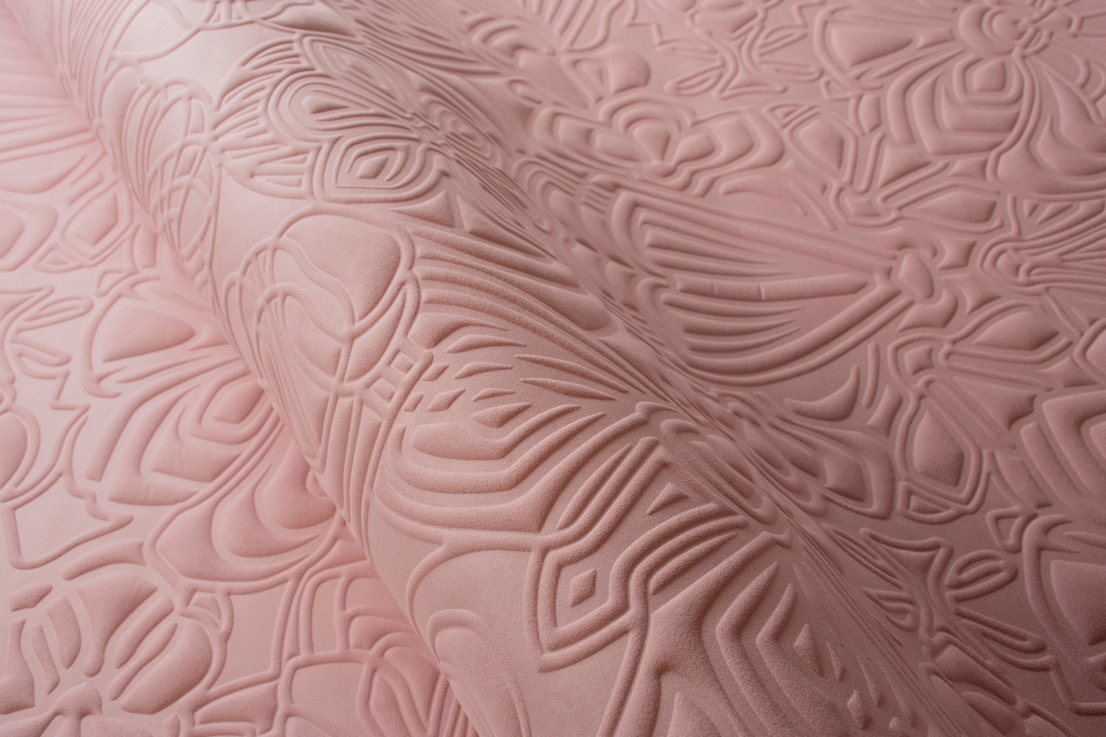 Papel Mural - Mimic Moth - MO4000