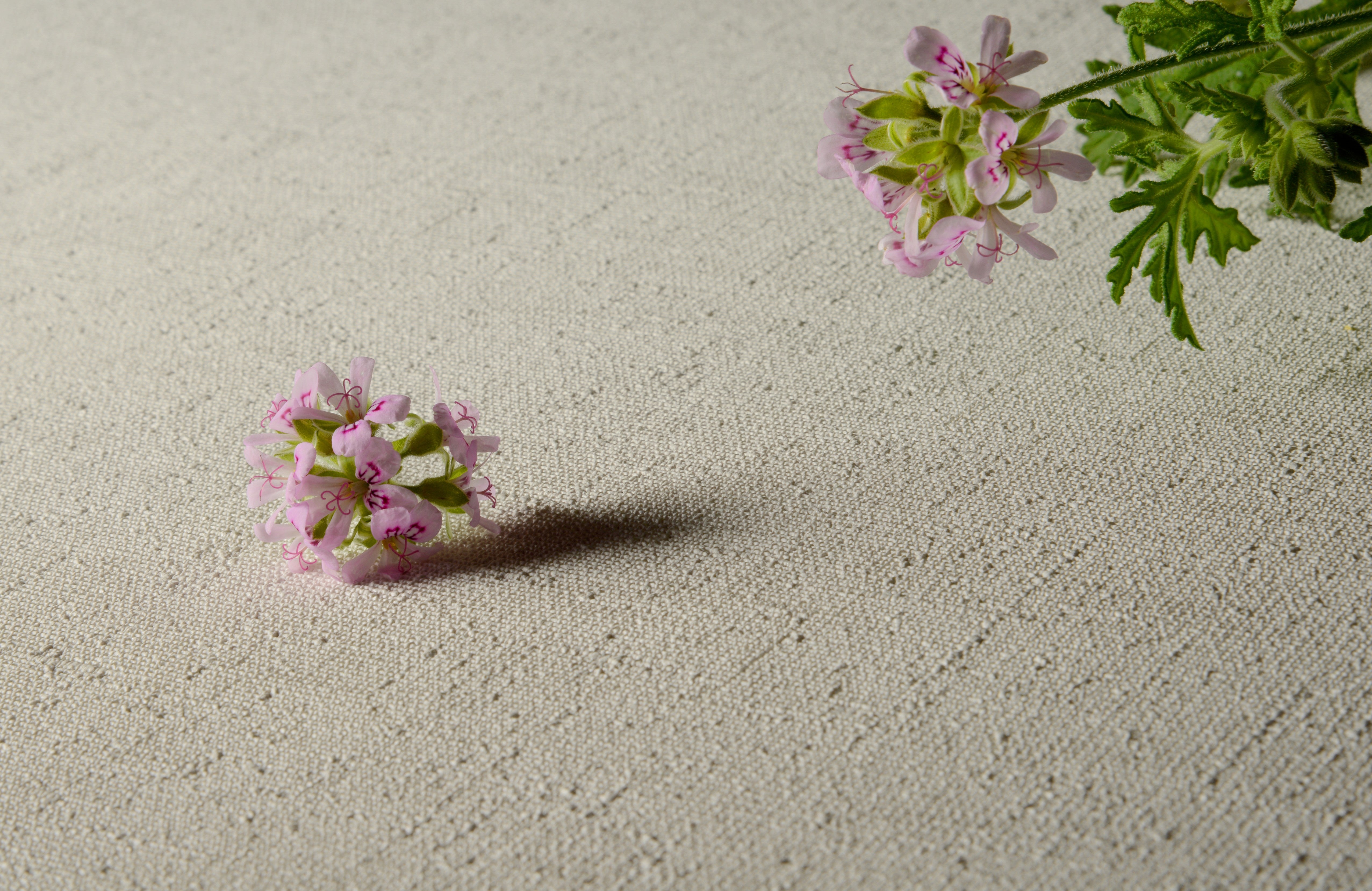 Papel Mural - Oxford Blanco Eb