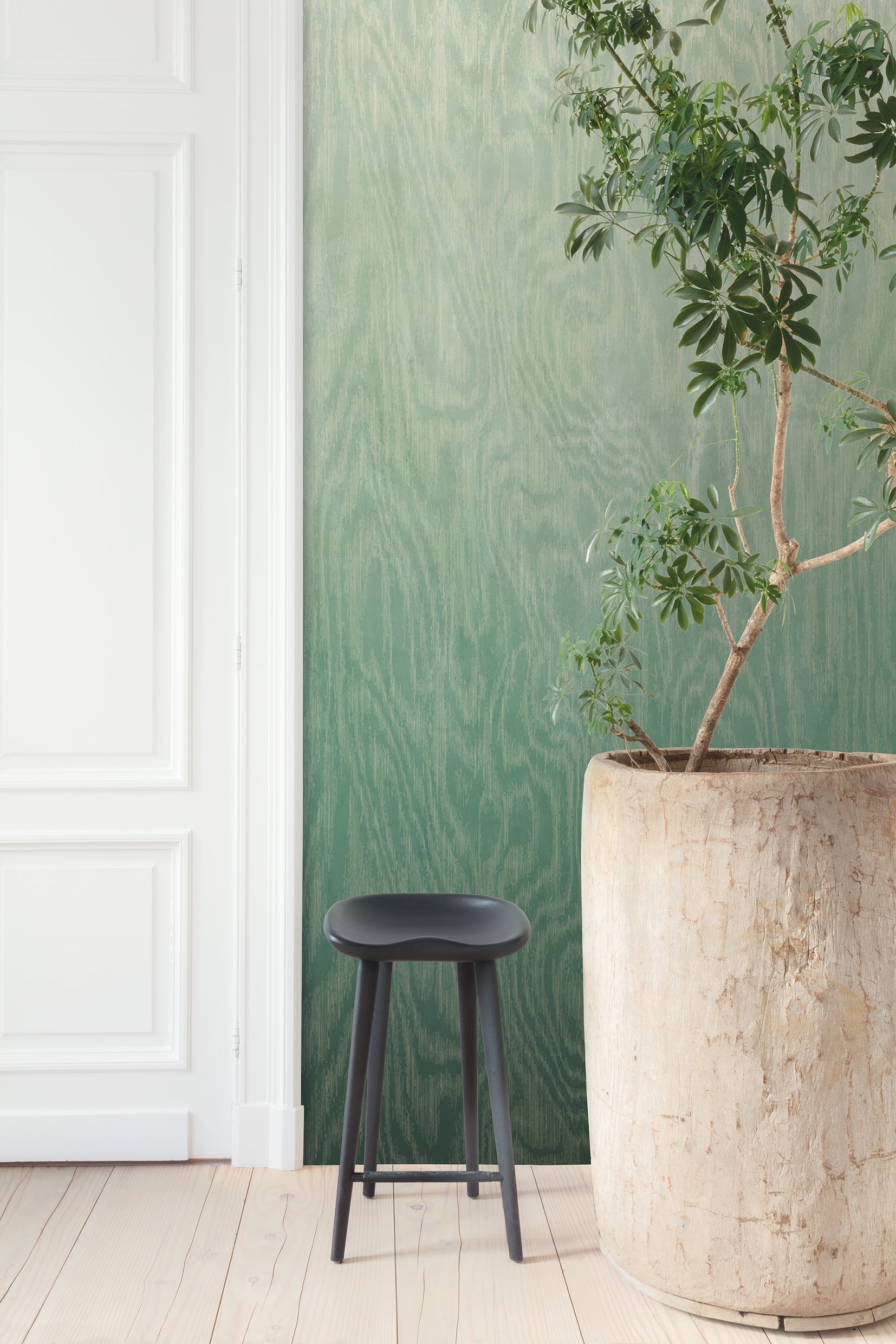 Papel Mural - Moire Green - DG4MOI102X