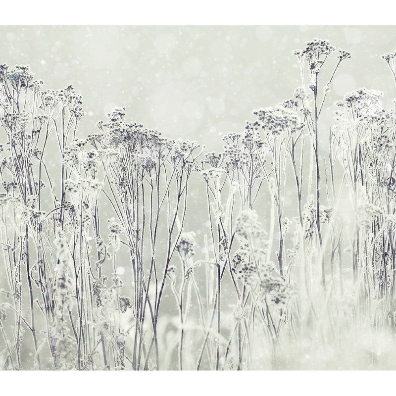 PAPEL MURAL - ROMANTIC 14