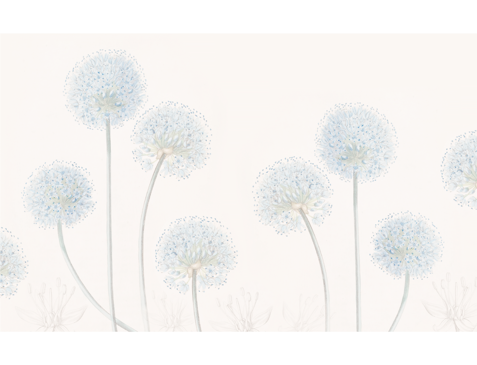 PAPEL MURAL - ROMANTIC 30