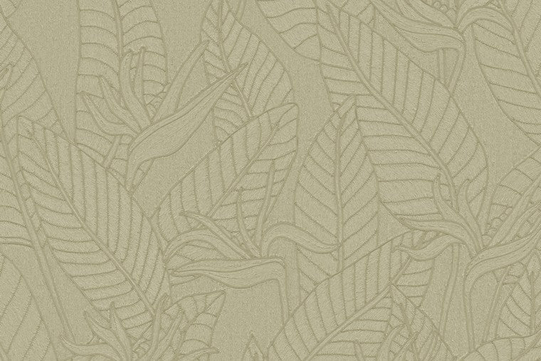 Papel Mural - Strelitzia - 60740