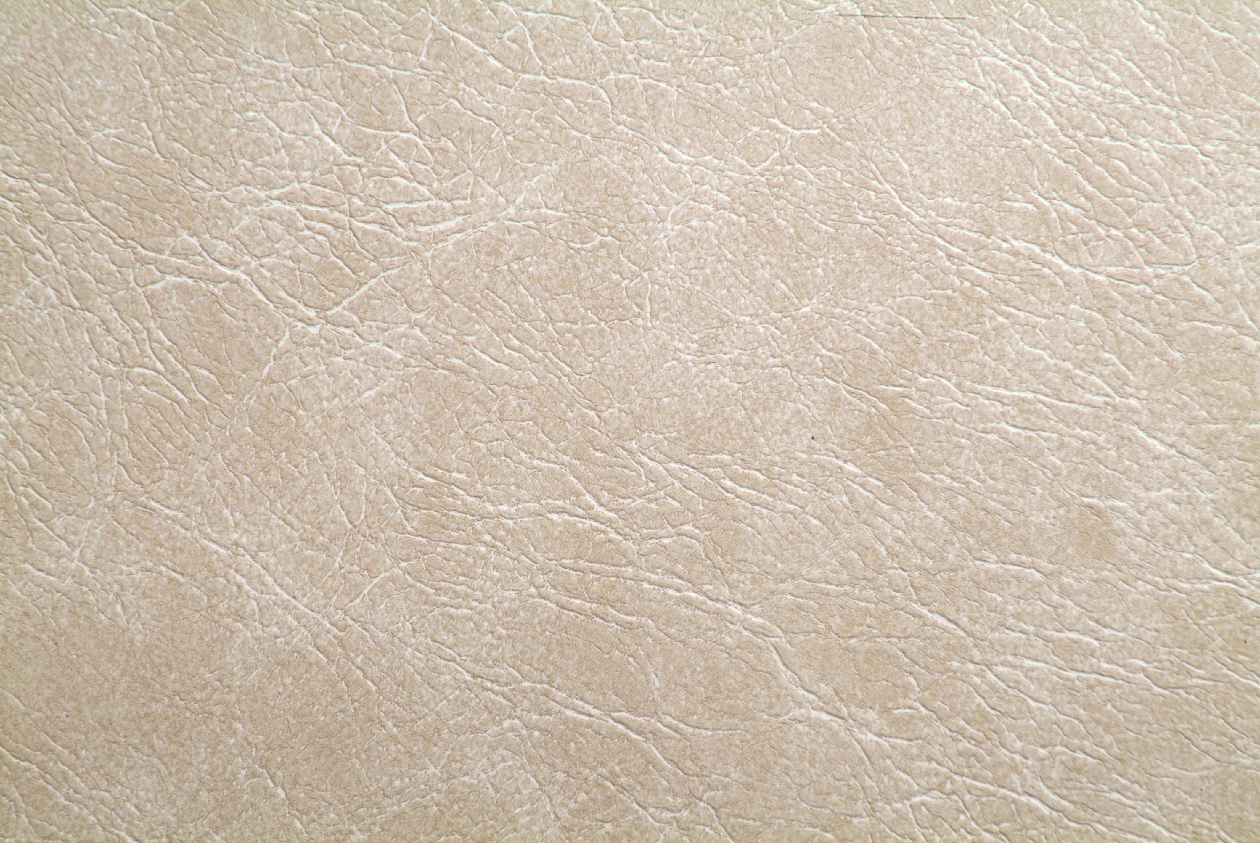 Papel Mural - Europa Bone