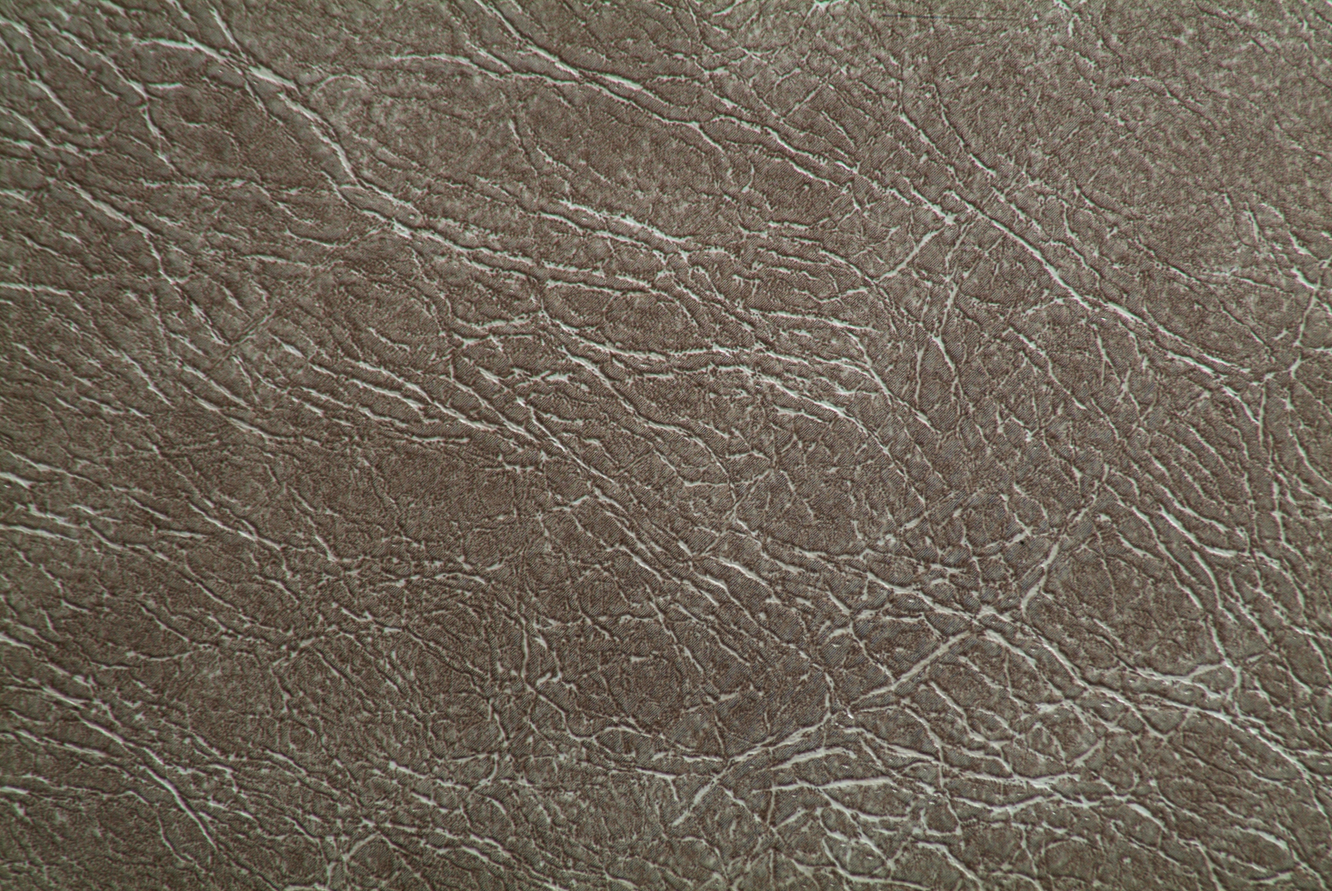 Papel Mural - Europa Gris