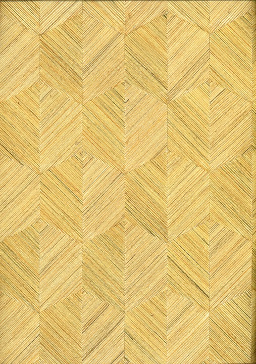 Papel Mural - Insignia - 80554