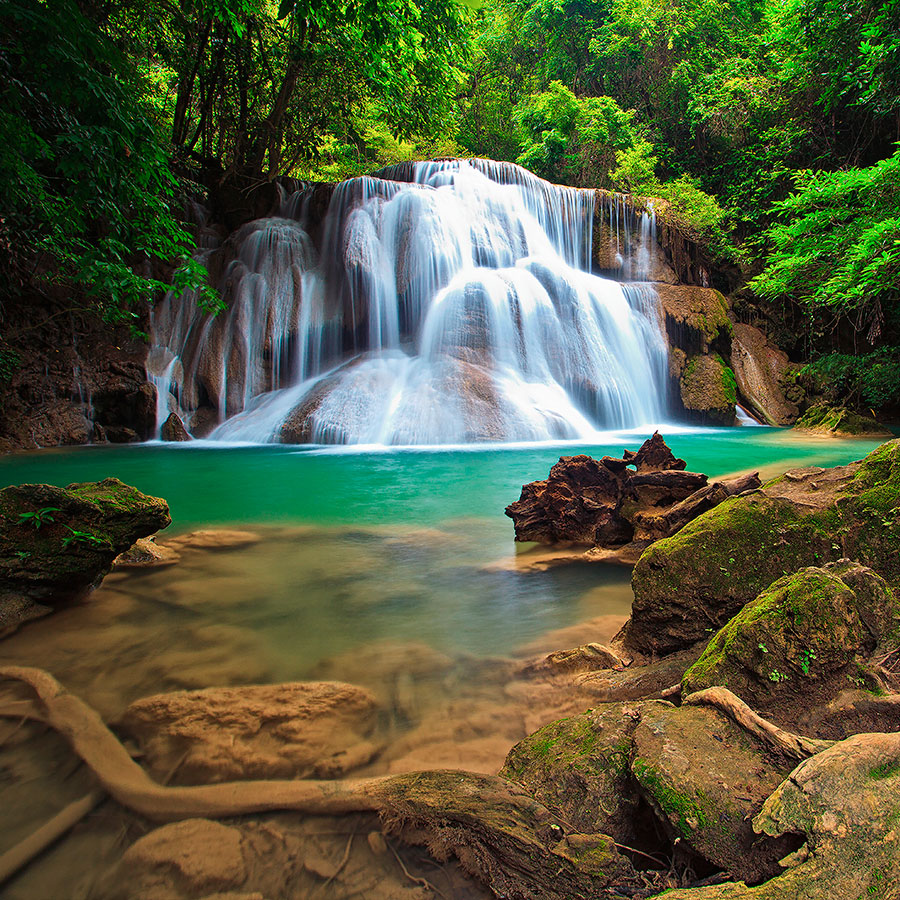 PAPEL MURAL - NATURA 08