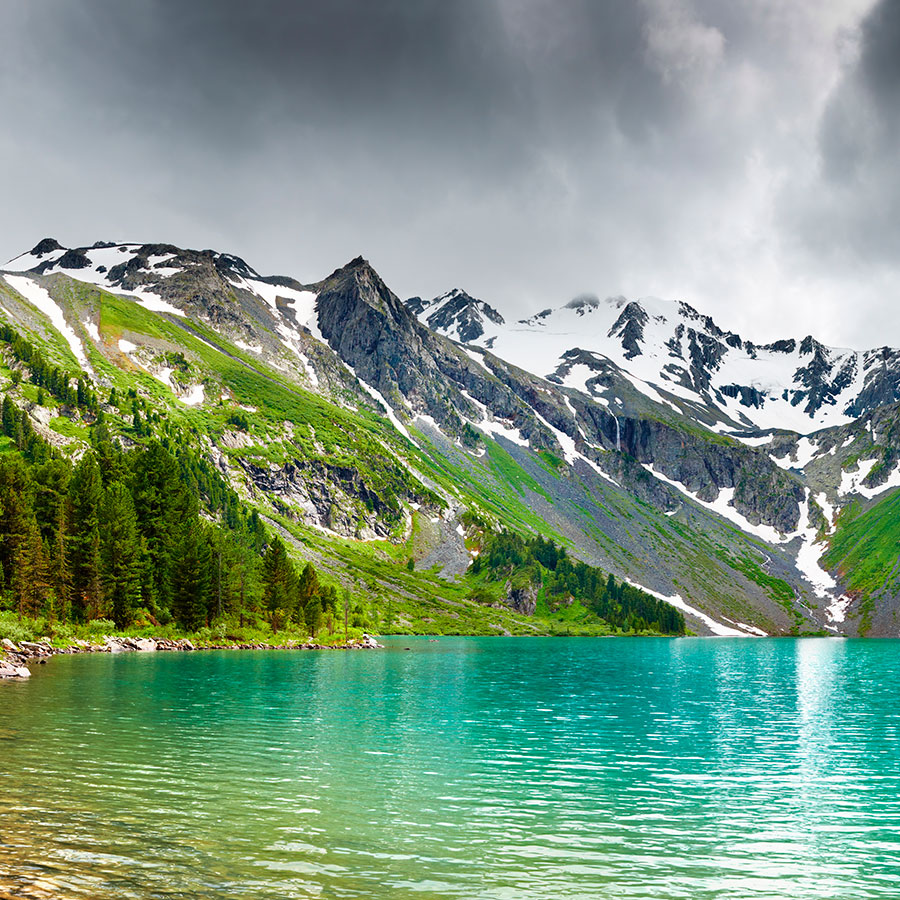 PAPEL MURAL - NATURA 09