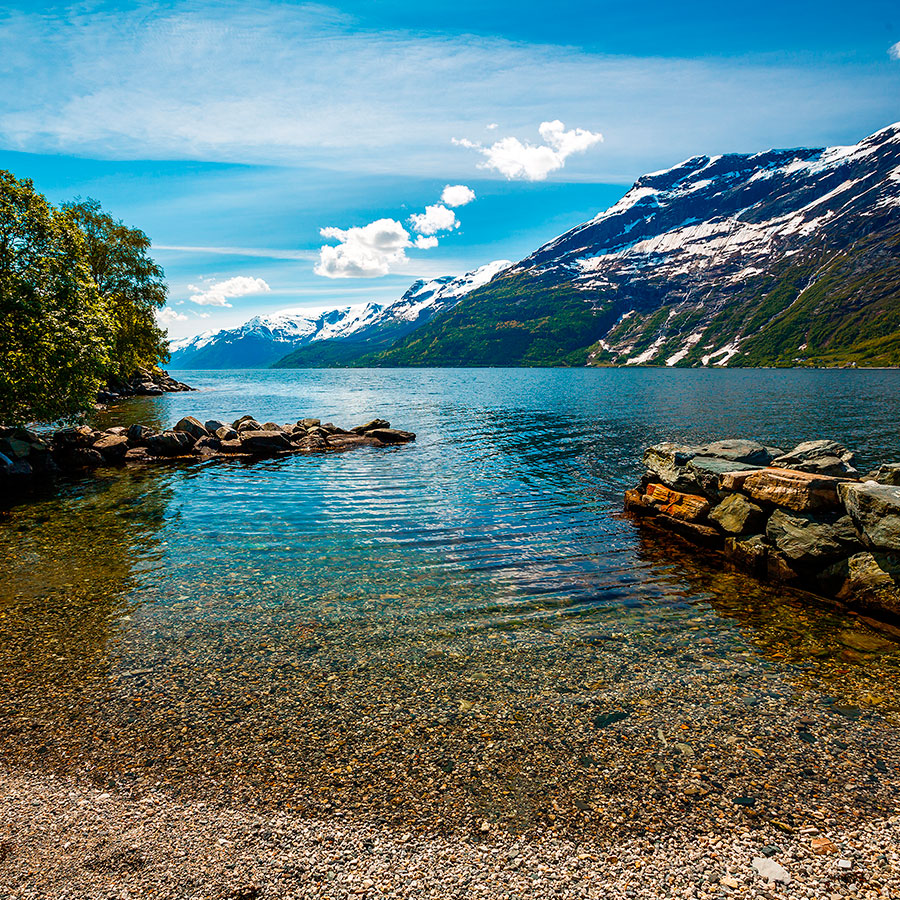 PAPEL MURAL - NATURA 10