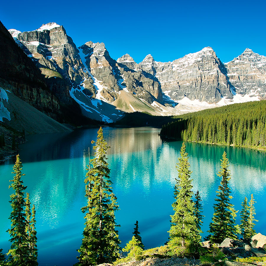 PAPEL MURAL - NATURA 11