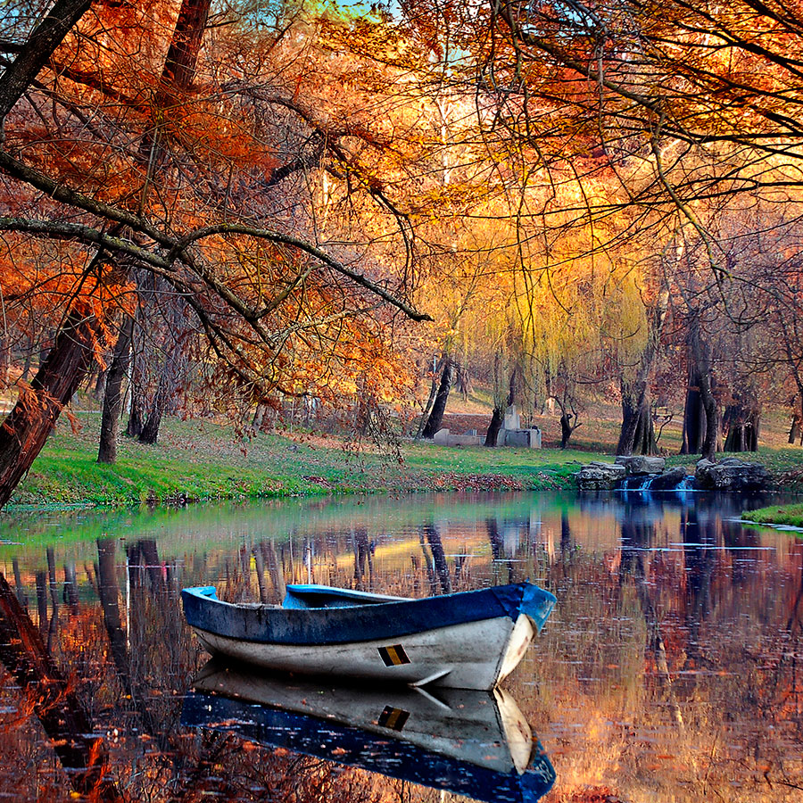 PAPEL MURAL - NATURA 13