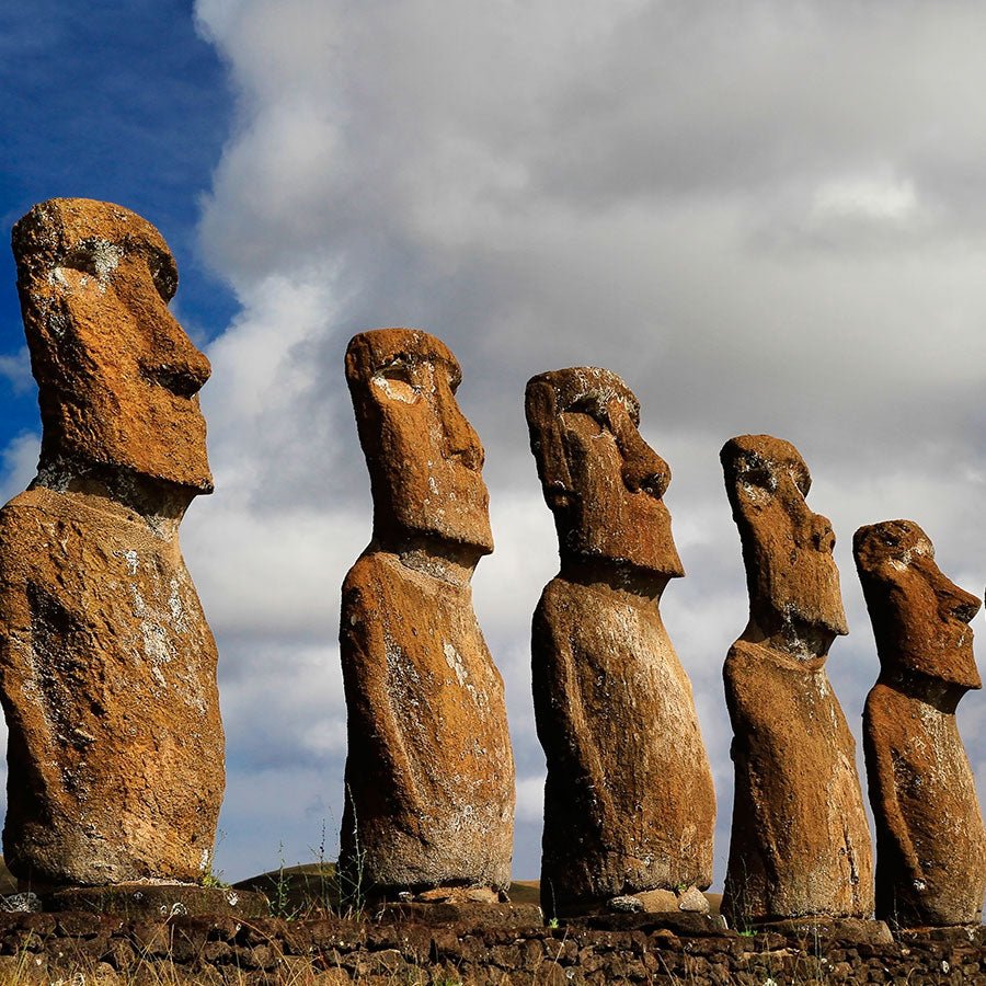 PAPEL MURAL - NATURA 19