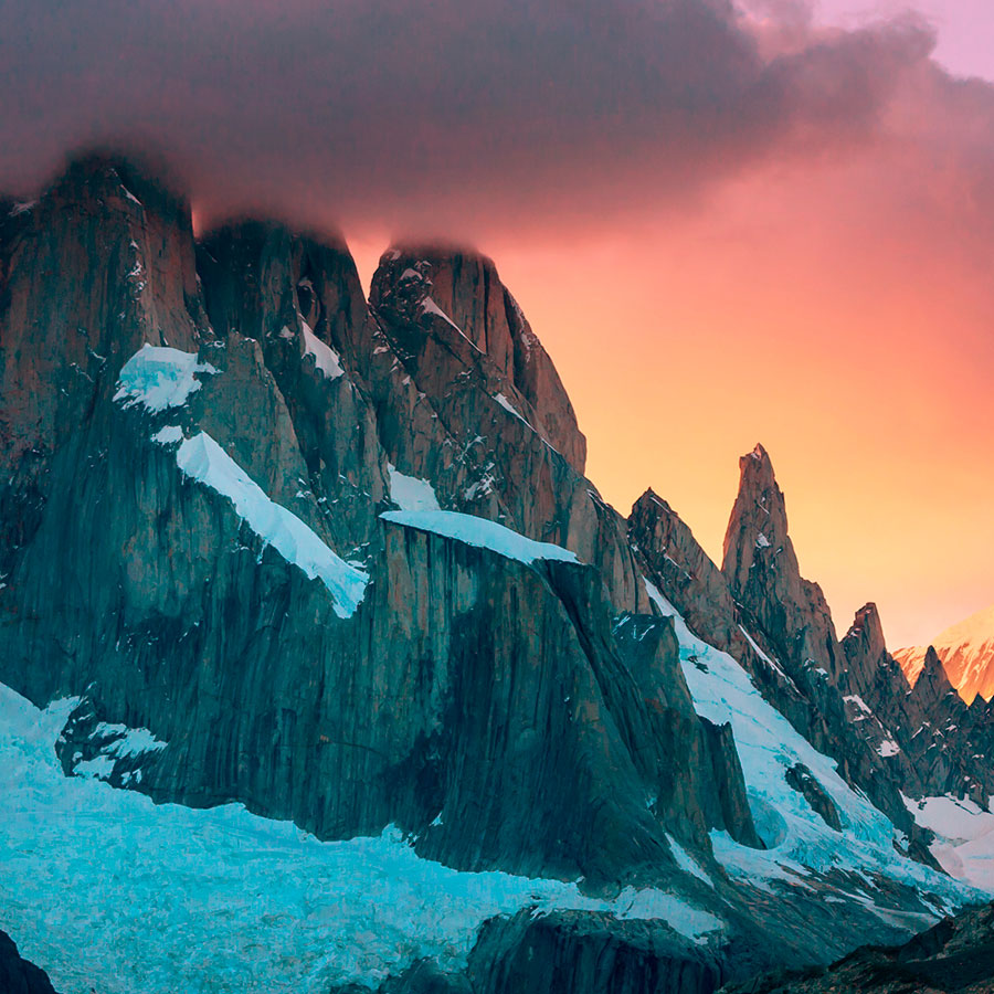 PAPEL MURAL - NATURA 20