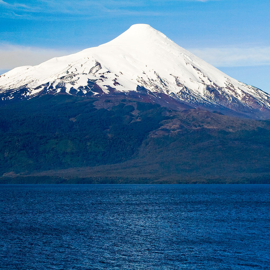 PAPEL MURAL - NATURA 23
